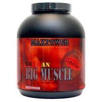 Big Muscle (2,5кг)