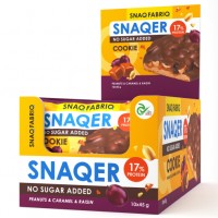 Snaq Fabriq Печенье глазированное SNAQER (45г)